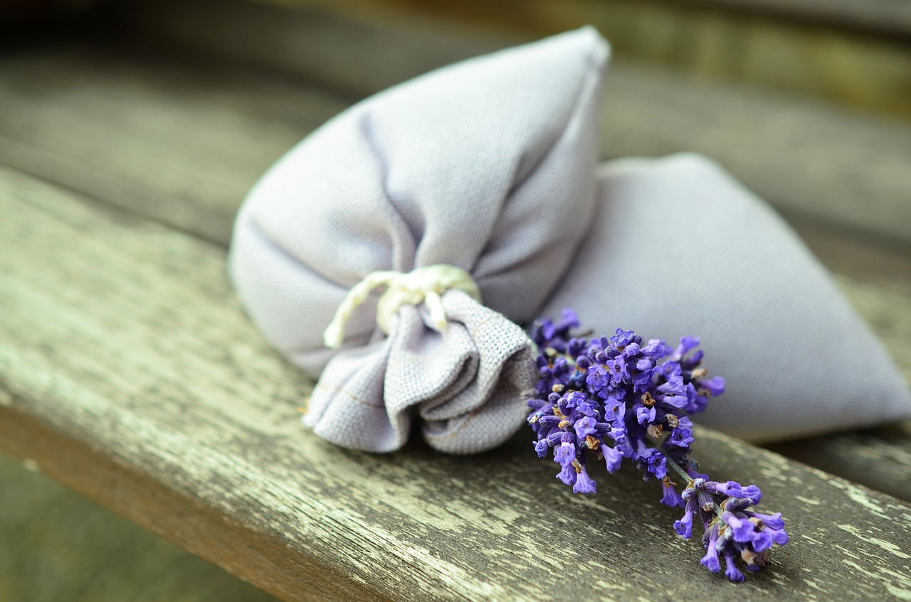 اسطوخودوس معجزه گر سلامتی | lavender natural marical remedy